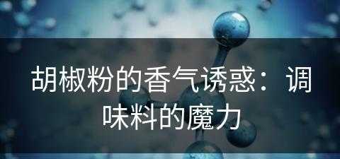 胡椒粉的香气诱惑：调味料的魔力